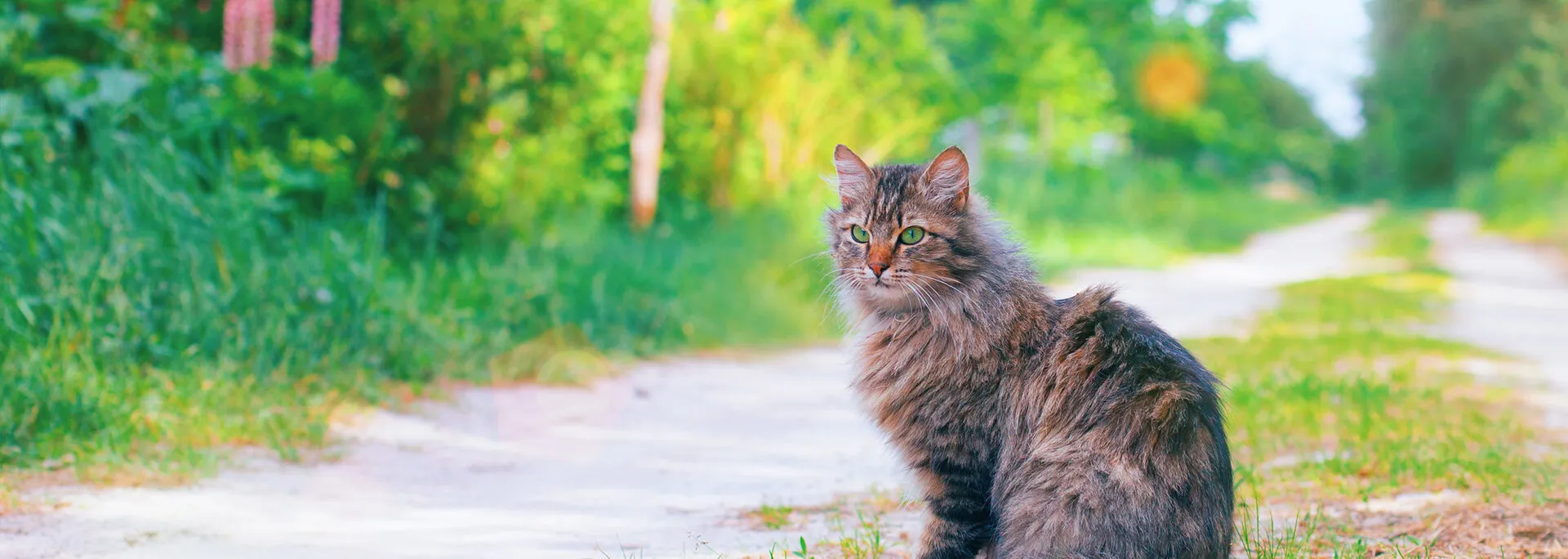 Happy pet owner with dog at Pocopson Vet
