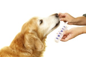 Veterinary pharmacy